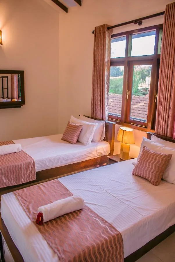 Bivora Villa Negombo Frühstückspension